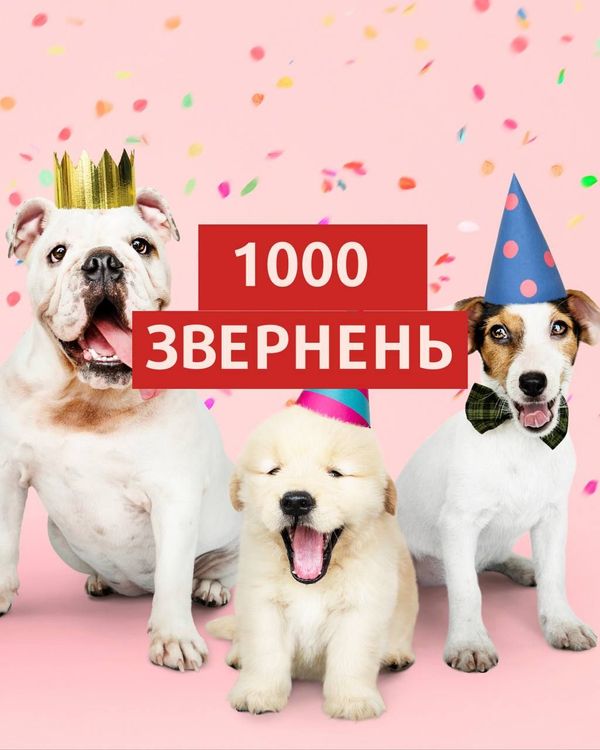 Наша перша 1000 запитів